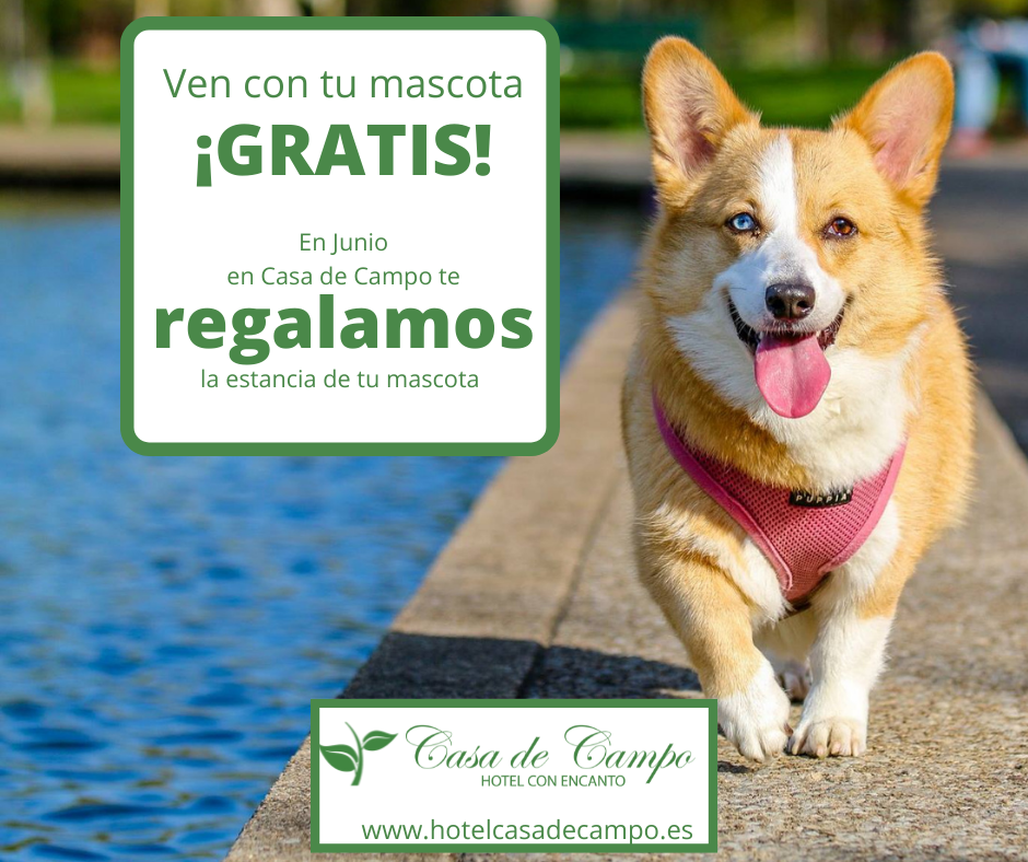 En Junio ven a Asturias gratis con tu mascota